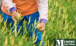 Montana Workers’ Compensation for Farm & Ranch Workers